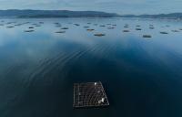 European Commission propose EMFAF amendment to simplify fisheries and aquaculture funding