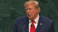 Freedom, sovereignty, and climate action