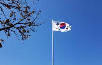 South Korea marks major shift to sodium-ion batteries to regain market