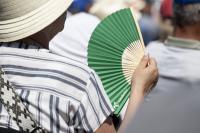 Swiss heatwaves linked to 600 premature deaths