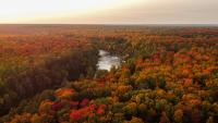Fall Is Here: These States Are the Best and Worst for Leaf Peeping