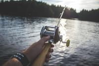 New York Announces Free Fishing Without a License