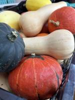 The autumn equinox on Pennsylvania farms