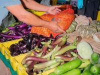 If we’re all going to die, I want to do it at this farmers market