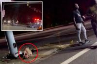 Maryland DoorDash customer picks up order from driver at crash scene: ‘I think that’s my food right there’