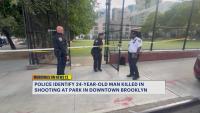 Police identify 24-year-old man killed in shooting at Downtown Brooklyn park