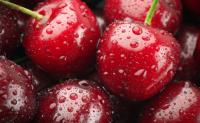Chilean fruit exports surpass $8 billion during the 2025-26 season