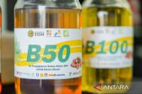 Placing biofuels at the heart of Indonesia's energy sovereignty drive