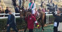 Japanese runners have Arc chance if ground is quick, says Dettori