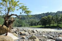 What the River Remembers: Cagayan River, Philippines and the Sendong Tragedy