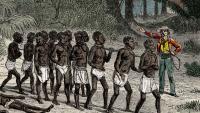 Carib News Editorial – Reparations A Global Movement 