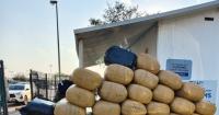 EXPLAINER | How BMA intercepted drugs and tobacco worth millions in two days