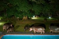 iSimangaliso World Heritage Site is in danger, scientists warn