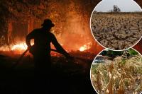 Hottest El Niño on record could kill up to 451,000 people in six months, scientists claim — warning of a deadly new normal