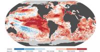 Super El Niño Could Kill 451,000 by February 2027, Researchers Say: Which Countries Are at Risk?