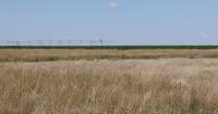 Farmers pivoting when it comes to Ogallala Aquifer