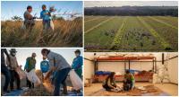 Flagship Restoration Project in Brazil’s Cerrado Savannah Working to Restore 4.4 Million Acres