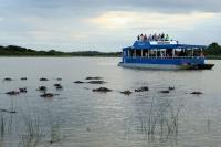 7 stunning spots where you can see South Africa’s wildlife on the water