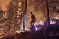 New Mexico wants FEMA to pay for years of wildfire recovery costs