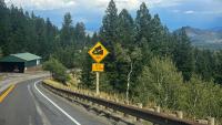 Wyoming DOT: Truckers must self-certify before navigating Teton Pass