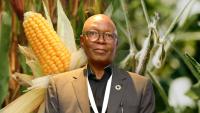 How Africa’s poultry feed crisis could hatch youth enterprises