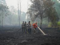 Scientists warn super El Nino could cause 450,000 deaths: Should we worry?