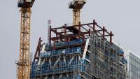 New Zealand crane count at 106: recovery uneven despite rise of four cranes