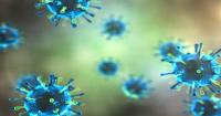 Linn County health leaders pursue measles education campaign for second year in a row