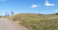 Green Visions: Sand Dune Stewardship on Minnesota Point