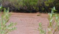 Flood watch threatens Socorro County through Wednesday