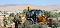 Israeli bulldozers smash Palestinian olive trees ahead of annual harvest