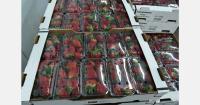 Why fruit punnets are not recycled in South Africa