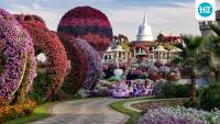 From Dubai Garden to Butchart Gardens: 5 gardens around the world that offer experiences beyond flowers and plants