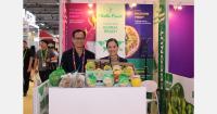 Vietnamese fruit exports diversify as price pressure intensifies