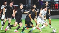 Last perfect team falls: Charleston men's soccer upsets No. 1 South Carolina