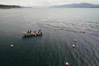 Kelp Farms and Marine Life Co-Exist in Southeast Alaska