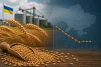 Ukraine’s wheat exports plunge, deepening global food security risks