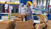 Cameroon Climbs Global Rankings for Rubber, Cocoa Paste and Bananas Despite 5% Drop in Total Exports