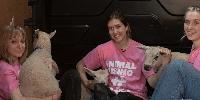 Activists who allegedly stole King Charles's lambs insist: 'It wasn't a stunt – we rescued them'