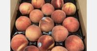 California stone fruit exports ending for the season