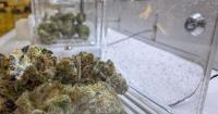 State asks Missouri Supreme Court to block award of 13 marijuana licenses