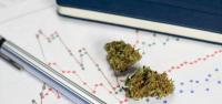 CDC Data Shows High School Cannabis Use At Record Low