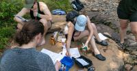 Grant to fund more summer research at Lander