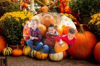 Forget the Couch — Hartford Has Fall Fun Waiting
