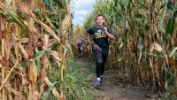 Your guide to corn mazes across Wisconsin