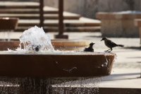 Colombian Caribbean Heat Makes Cooling Essential Just as Drought Squeezes Water and Power