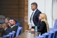 Parliament Lifts Temporary Ban on Exports and Intra-EU Supplies of Petroleum Products