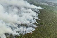 Indonesia Eyes China's COMAC C909 to Help Fight Forest Fires