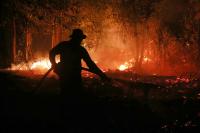 El Niño Could Cause More Than 450,000 Deaths Over the Next 6 Months, Researchers Say