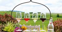 18 Great Wineries an Easy Drive From DC